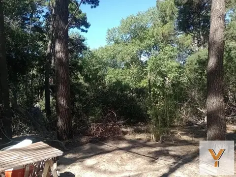 Punta Del Este e/ 42 y 41