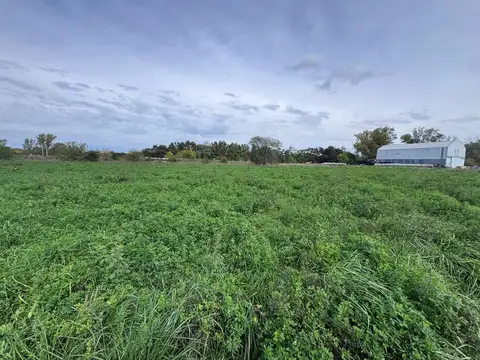 ALQUILER CAMPO – 10 HECTÁREAS CON PASTURA | SAN ANTONIO DE ARECO KM 108.5 EX RUTA 8