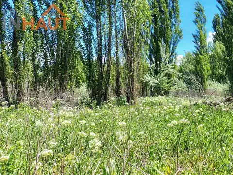 Alquiler Terreno 75 metros frente Ruta 151 -  Cordero