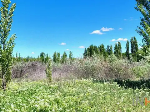 Alquiler Terreno 75 metros frente Ruta 151 -  Cordero