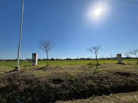 Terreno en Venta en Esperanza, Las Colonias