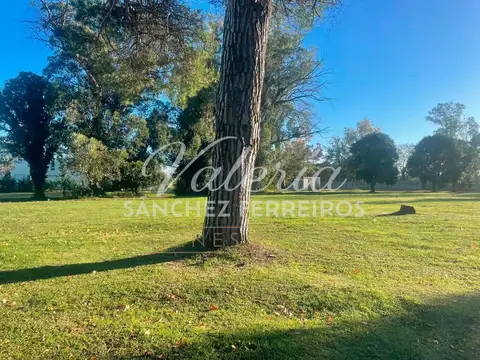 Terreno en Venta - USD 290.000