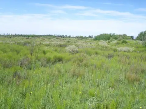 Ruta Provincial 200