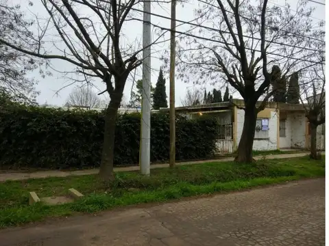 Cassaux Y Barlaro