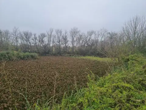 Terreno en Venta de 751,0 m2