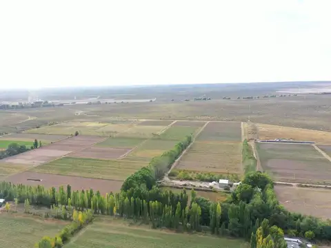 Venta finca valle de uco san carlos mendoza
