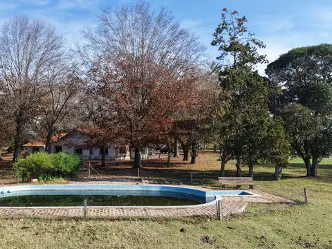 110 Has. Campo Ganadero en Mercedes