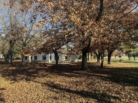 Campo en Venta de 110  ha