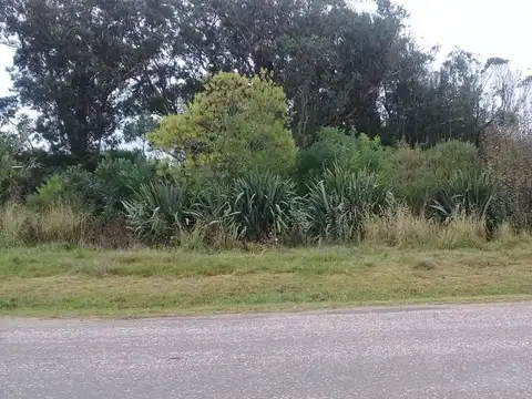 SE VENDE FRACCION DE 5,5 Ha EN VIRREY DEL PINO