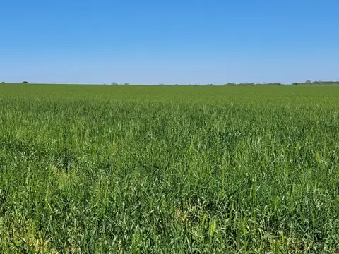 Terreno en Venta de 50000,0 m2