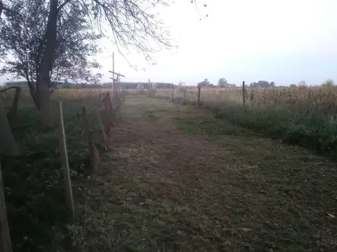 PEDRO DE ANGELIS 3000