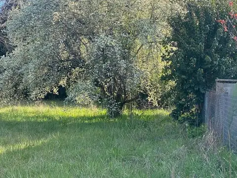 Campo en Venta, 14 Hectáreas, en Zarate, Escalada, G.B.A. Norte