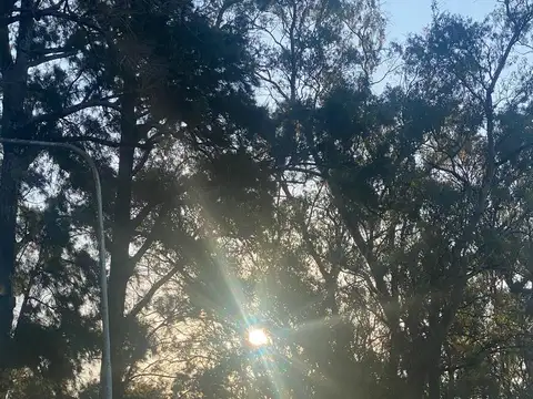 Campo en Venta, 14 Hectáreas, en Zarate, Escalada, G.B.A. Norte