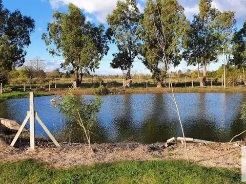 Terreno en venta - 550Mts2 - Santa Emilia, Pilar
