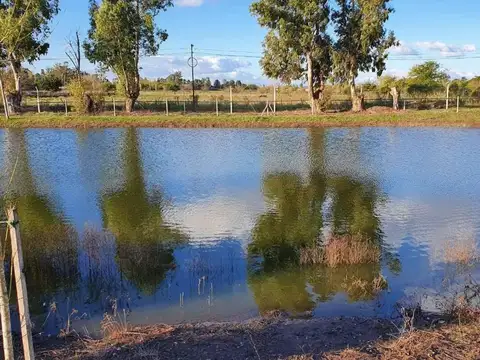 Terreno en Venta de 550,0 m2