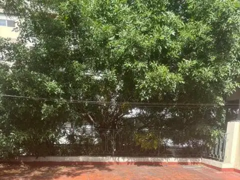 Terreno en Venta 20,54  mts Fondo