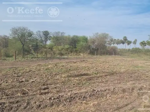 Venta ,excelente Campo Mixto sobre ruta  - 5500 has en Gral Guemes , Formosa.