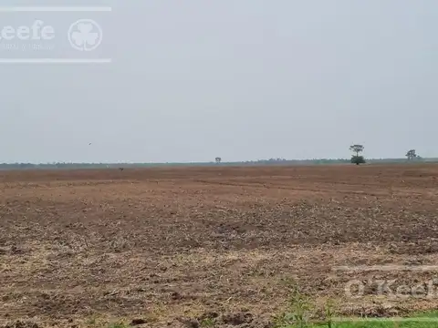 Venta en Formosa Excelente campo mixto 5500 has sobre ruta