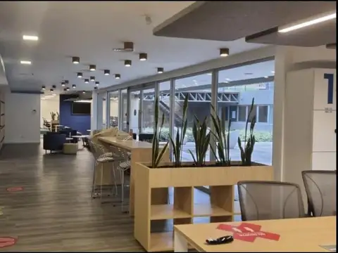 Fondo De La Legua Y Cuyo