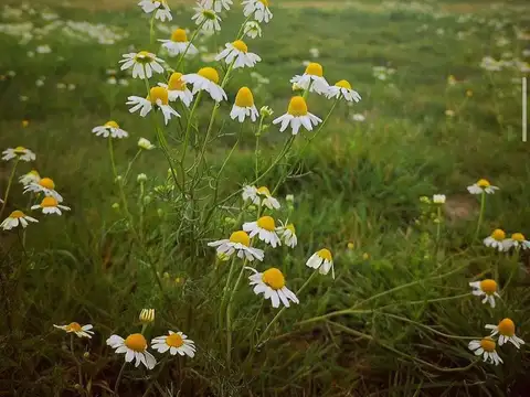 LOTE EN VENTA  EN BARRIO "SANTA CLARA" SAN VICENTE