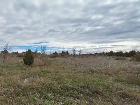 Terreno en Alquiler de 20000,0 m2