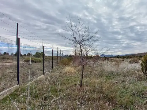Terreno en Alquiler de 20000,0 m2