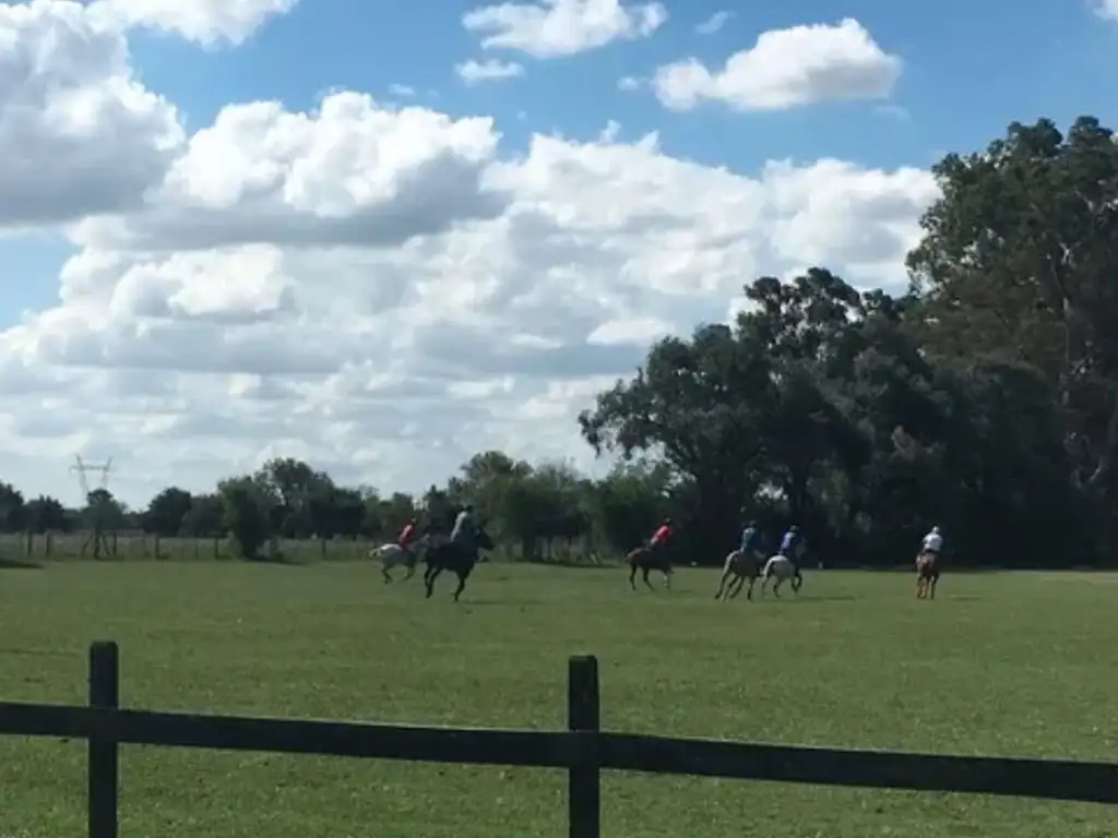 Actividades deportivas polo en Haras El Malacate