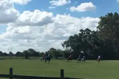 Actividades deportivas polo en Haras El Malacate en G.B.A. Zona Norte