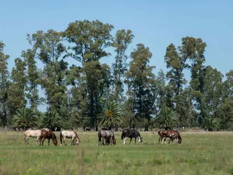 Terreno en Venta de 1196,0 m2