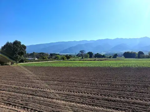 Terreno en venta 