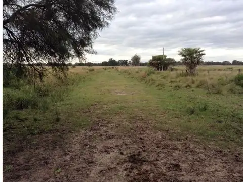 Campo ganadero y parcialmente agricola de 4000 has a pocos k