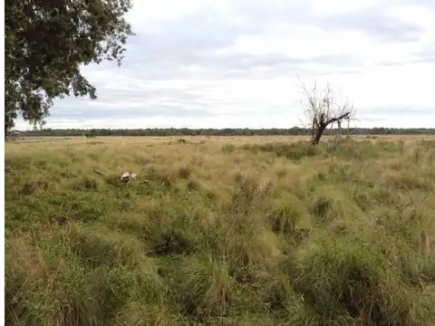 Campo ganadero y parcialmente agricola de 4000 has a pocos k