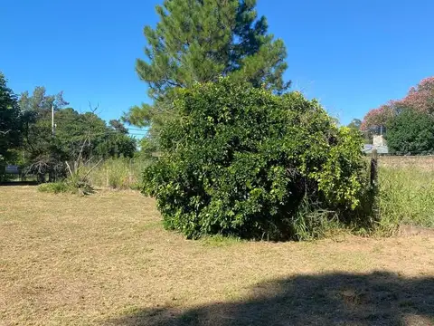 Excelente Terreno en Venta