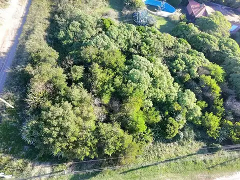 Hipólito Vieytes 1200