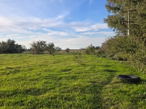 Campo en Venta de 10  ha