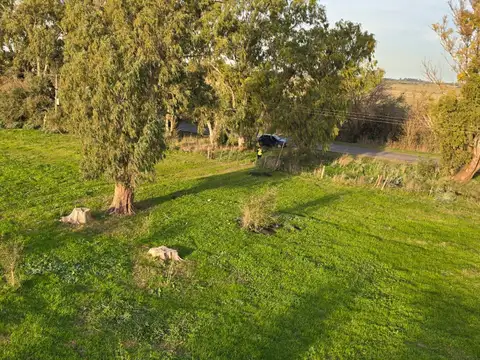 OPORTUNIDAD, CHACRA EN VENTA SOBRE RUTA EN BAVIO, IDEAL EMPRENDIMIENTO