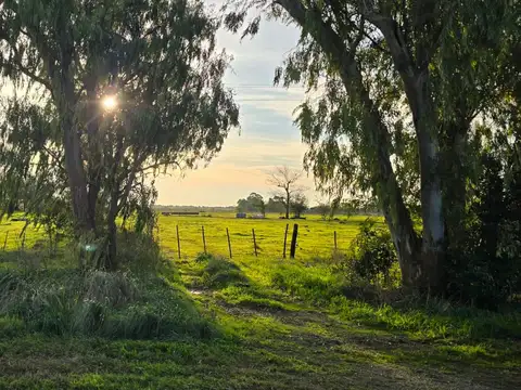 OPORTUNIDAD, CHACRA EN VENTA SOBRE RUTA EN BAVIO, IDEAL EMPRENDIMIENTO