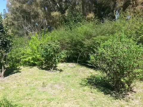 Terreno en Venta en Arana, USD 95.000
