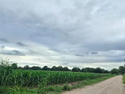 VENTA 16 HECTAREAS AGRICOLAS COLONIA CAROYA CBA
