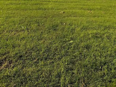 Terreno en Venta de 870,0 m2