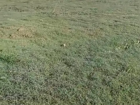 Terreno en Venta de 1108,0 m2
