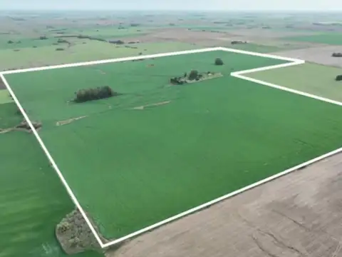 Campo en Venta en Arrecifes, Partido de Arrecifes
