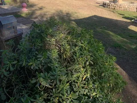 Avenida Independencia e/ El Pensamiento y Las Margaritas