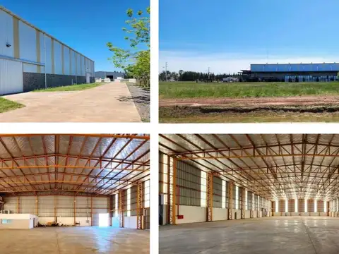 Planta Industrial + 10.000 m² de Terreno | Cañuela
