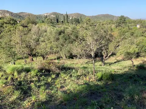 VENTA TERRENO POTRERILLO DE LARRETA COUNTRY CLUB