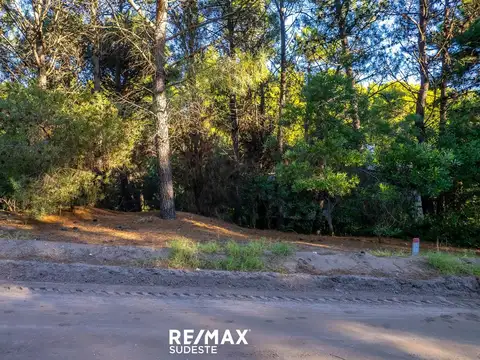 Terreno en Venta en Monte Hermoso, USD 33.000