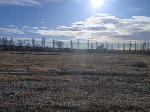 Terreno en Venta en Cinco Saltos, USD 10.000