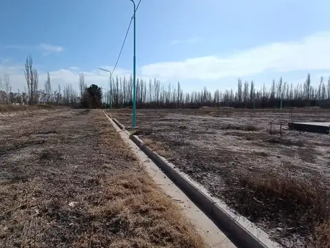 Terreno en Venta en Cinco Saltos, USD 10.000