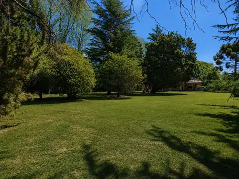 Terreno en Venta 65  mts Fondo