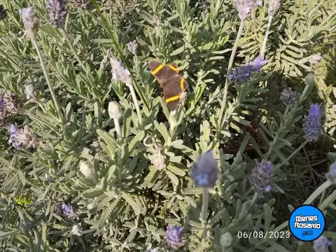 Terreno en Venta en Andino, USD 85.000